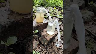 Making Amazing Dirty Water purification Filter 😱 Making Dirty Water Filter survival watercamping [upl. by Ecille]