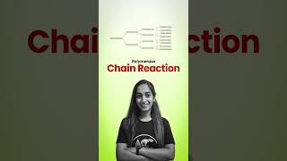 Polymerase Chain Reaction PCR [upl. by Aljan]