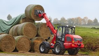 Weidemann – Teleskopradlader 4080LPT Einsatz in der Landwirtschaft [upl. by Suzette]