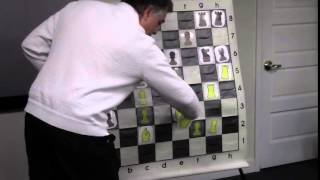 Beat Carlsen after his Big Blunder  GM Yasser Seirawan  20141116 [upl. by Eceerahs]