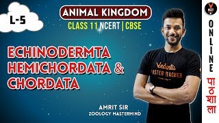 Echinodermata Hemichordata and Chordata  Animal Kingdom CBSE Class 11 Biology Chapter 4NEET 2020 [upl. by Severn650]