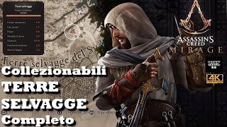 ASSASSINS CREED MIRAGE TERRE SELVAGGE  Manufatti Attrezzature Libri Enigmi Siti Frammenti Storie [upl. by Maclean]