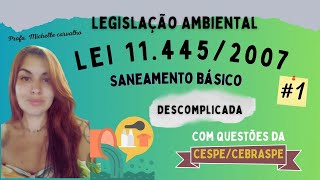 ATUALIZADO 2024  Licenciamento Ambiental  entenda com EXEMPLOS O QUE É TIPOS E CONDICIONANTES [upl. by Llenwahs]