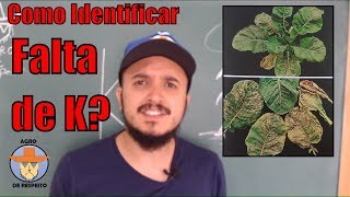 Como identificar a deficiência de POTÁSSIO K nas plantas SINTOMAS NUTRICIONAIS EP 3 [upl. by Dumm]