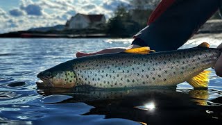 Jakten På Sjøørreten «Fra sør til nord PREMIERE 1 desember  Fiskejegeren Production [upl. by Finbar]