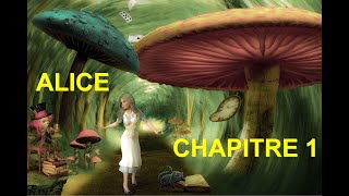 Alice au pays des merveilles  Chapitre 1  livreaudio Livre audio [upl. by Tombaugh503]