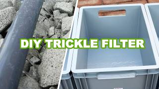 DIY simple to make Trickle Filter [upl. by Watanabe]