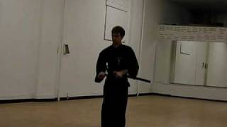 Muso Shinden Ryu Iaido  Shoden Kata [upl. by Maxy]