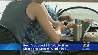 Florida lawmakers start session considering 6week abortion limit [upl. by Troy477]