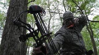 Deer Hunting With Bow And Arrow WARNING Impact Shots [upl. by Inalaehak]