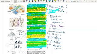 Connective Tissue Muscular Tissue and Nervous Tissue Class 9 Animal Tissue Full Ncert Explanation [upl. by Ettezel354]