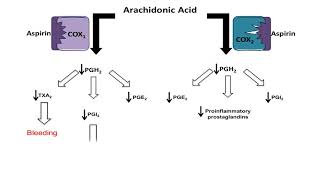 Asprin NSAID  Mechanism of Action antiinflammatory action [upl. by Ahcire718]