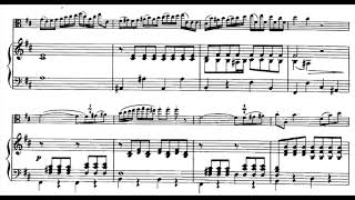 Hoffmeister  Viola Concerto in D 1st Mov piano accompaniment [upl. by Ahsinak]