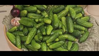 Sweet Gherkins Recipe  Simpliest Pickle Recipe [upl. by Kamilah]