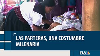 Las parteras una tradición milenaria que hoy pide reconocimiento [upl. by Lloyd967]