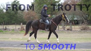 Training the trotty horse to be SMOOTH [upl. by Reade]