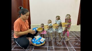 4 Siblings Standing Up Very Obediently Waiting Mom To Prepare Snack For Them [upl. by Enileoj]