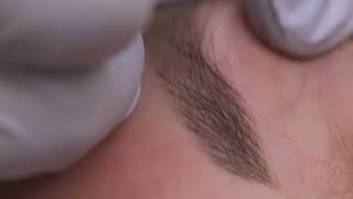 Microblading Micropigmentation amp PMU Beauty Salon Background [upl. by Juta]