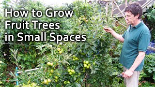 How to Grow Fruit Trees in Small Spaces [upl. by Stiles]