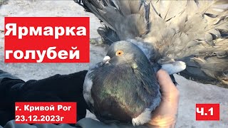 Ярмарка голубей г Кривой Рог 23122023 Ч1 [upl. by Lizabeth]