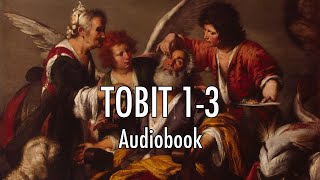 Tobit 13 Audiobook  Narrated by Eric Rolon [upl. by Yellhsa]