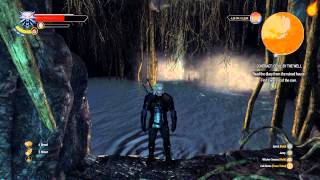 The Witcher 3 Contract Devil by the Well  Quest Walkthrough [upl. by Fransen272]