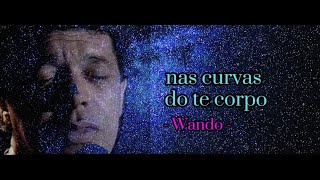 Nas curvas do seu corpo  Wando  legendas [upl. by Niawat238]