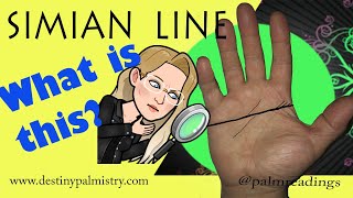 The Simian Line and Other Palm Lines Explained Palmistry Lesson by Sari Puhakka [upl. by Ynamrej]