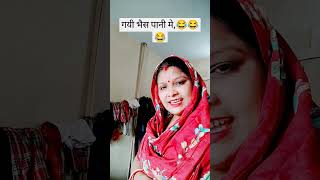 गयी भैस पानी मे comedy funny 🤣🤣🤣subsribeformore nitu mith [upl. by Brittan712]