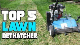 Best Lawn Dethatcher Reviews 2024  Best Budget Lawn Dethatchers Buying Guide [upl. by Spaulding905]