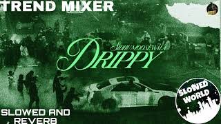 Drippy  by Sidhu mose wala drippy song slowed and reverb on TREND MIXER [upl. by Blunk212]