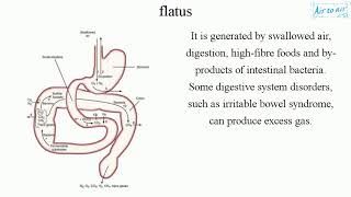 flatus [upl. by Orianna]