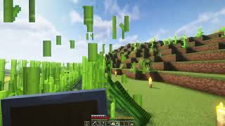 Lagermeister Donferd Minecraft 121 15 [upl. by Norita]