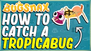 WHERE TO FIND AND HOW TO CATCH A TROPICABUG IN BUGSNAX  SIMMERING SANDS  BUGAPEDIA [upl. by Spearman214]