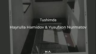 Tekst  Xayrulla HamidovampYusufxon Nurmatov  Tushimda  Текст Тушимда [upl. by Allak656]