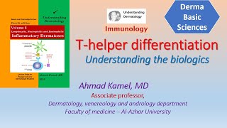 T helper differentiation Understanding the biologics [upl. by Aisirtap12]