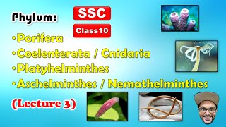 Animal Classification Lecture 3  Phylum 14  Class 10  SSC  Maharashtra state board [upl. by Ycram]