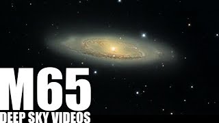 M65  An Easy Life  Deep Sky Videos [upl. by Ecitsuj]