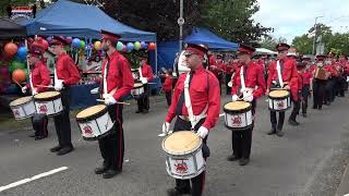 Belleek Accordion Band  Royal 13th Scarva 2024 [upl. by Ahsinav504]