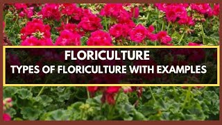 FLORICULTURE  WHAT IS FLORICULTURE TYPES OF FLORICULTURE PLANTS WITH EXAMPLES [upl. by Dedie]