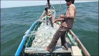 Haw To Deep Sea Fishing Trips Mangrol Bara Sea Fishing Amazing [upl. by Ethbun]