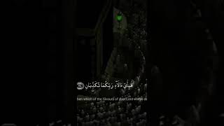 Surah Rahman  Yasser Al Dossari [upl. by Amoeji]