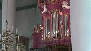 Orgelconcert Petruskerk Woerden Ad van Pelt bespeelt het Bätzorgel [upl. by Halliday219]