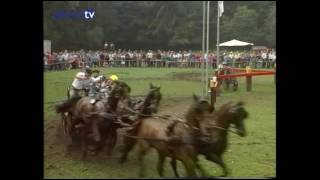 Die Weltmeisterschaft der Vierzugfahrer 1992 in Riesenbeck  Legendärer Fahrsport [upl. by Cupo]