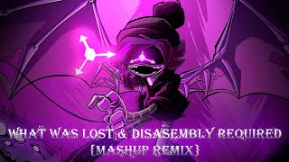 What Was Lost amp Disassembly Required Mashup Remix [upl. by Gawain]