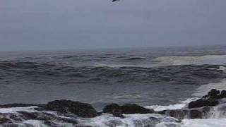 Huge Waves Crashing on the Rocks [upl. by Aliahkim]