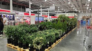 Shop with me at Costco february2024 newfinds costcocoomera australia [upl. by Eneryt55]