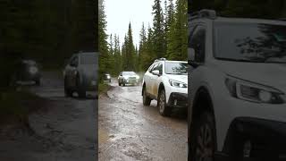 Rainy Subaru Wilderness OffRoad Adventure [upl. by Saudra]