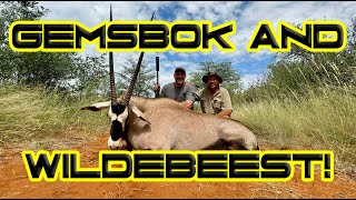 Gemsbok amp Wildebeest Hunting in South Africa [upl. by Limber627]