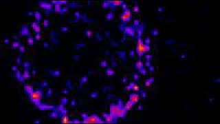 Rapid SNAREMediated Fusion of Liposomes and Chromaffin Granules with Giant Unilamellar Vesicles [upl. by Aihseya]